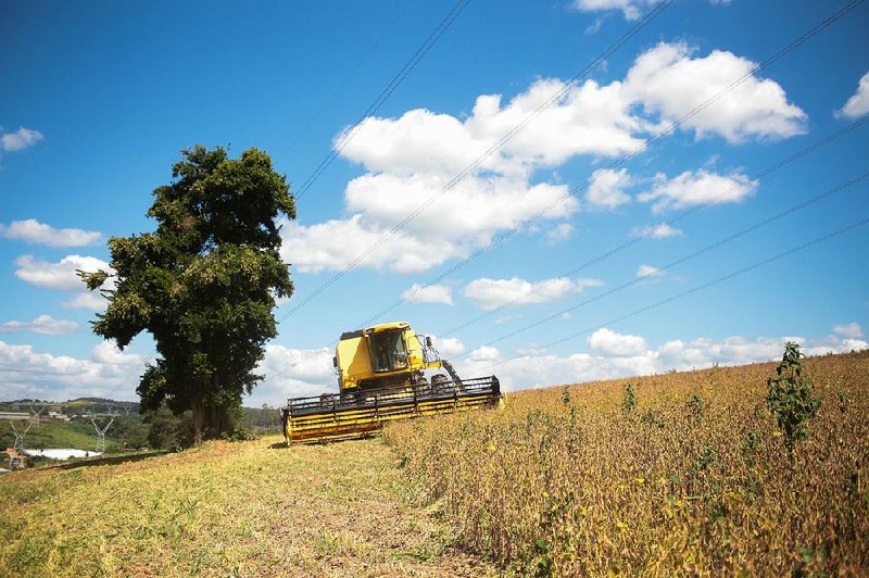 A combine harvests soybeans near Atibaia, Brazil, earlier this year. Analysts expect Brazil to be the world’s top soybean exporter this year, ahead of the U.S.