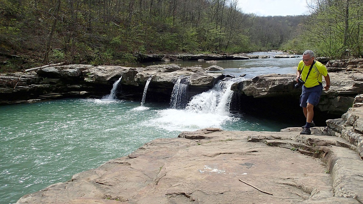 Spring blossoms at Kings River Falls Natural Area | Northwest Arkansas ...
