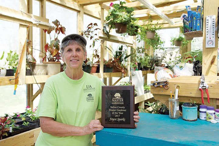 Joyce Sparks of Avilla is the 2017 Saline County Master Gardener of the Year. She reported 243 hours of work on Master Gardener projects in 2016.