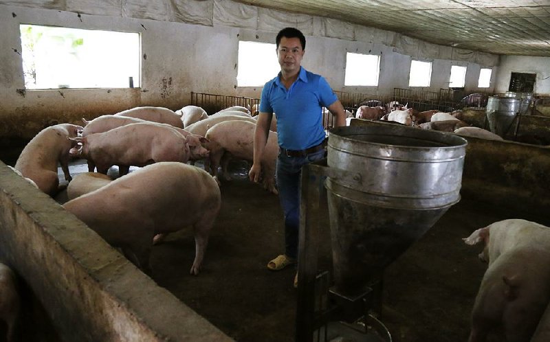 Vietnamese pig farmer Do Huu Thuyen tends his animals at his farm in Xuan Son village, about 34 miles northwest of Hanoi, earlier this month. 