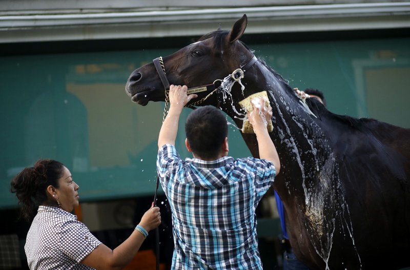 Kentucky Derby winner Always Dreaming is washed after a workout at Pimlico Race Course in Baltimore, Wednesday, May 17, 2017. The Preakness Stakes horse race is scheduled to take place May 20. (AP Photo/Patrick Semansky)