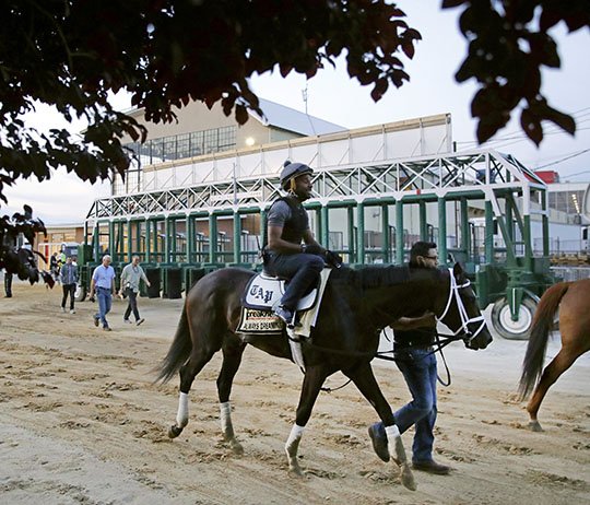 The Associated Press MORNING JOG: With exercise rider Nick Bush aboard, Kentucky Derby winner Always Dreaming walks past the starting gate after a workout Thursday at Pimlico Race Course in Baltimore, site of the 142nd Preakness on Saturday.
