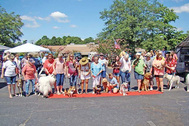 Festivalgoers show off their dogs in the 2016 BayFest Pet Parade in Fairfield Bay. Last year’s winner was a Yorkshire terrier dressed in a full Razorbacks outfit. The pet parade will take place at BayFest again this year.