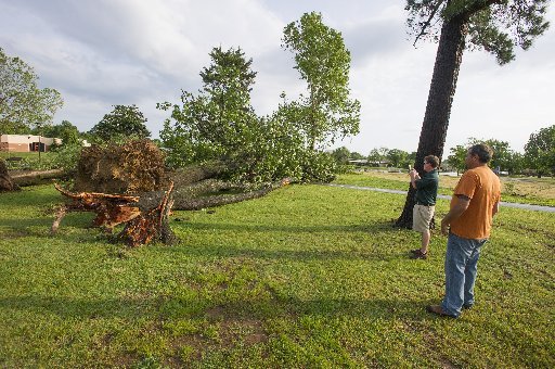 James Bassham (right) maintenance supervisor for Springdale Parks and Recreation, and Zach Walls, assistant operation manager for the department, look at a tree that is partially pulled from the ground Friday, May 19, 2017 at Murphy Park in Springdale. The park is scheduled to have its grand re-opening celebration Friday night.