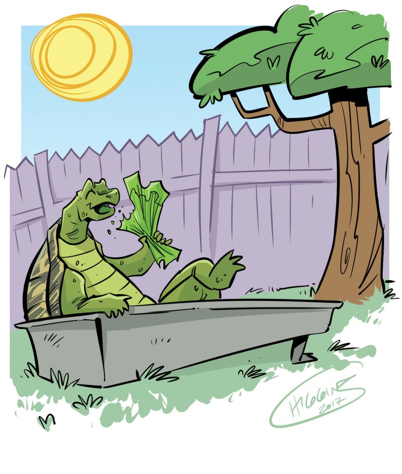 Arkansas Democrat-Gazette turtle illustration.