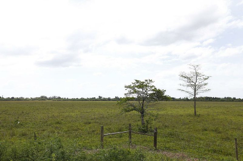 Developers of the proposed American Dream in south Florida envision the project as a combination shopping and entertainment hub on this 200-acre tract near the Everglades. 