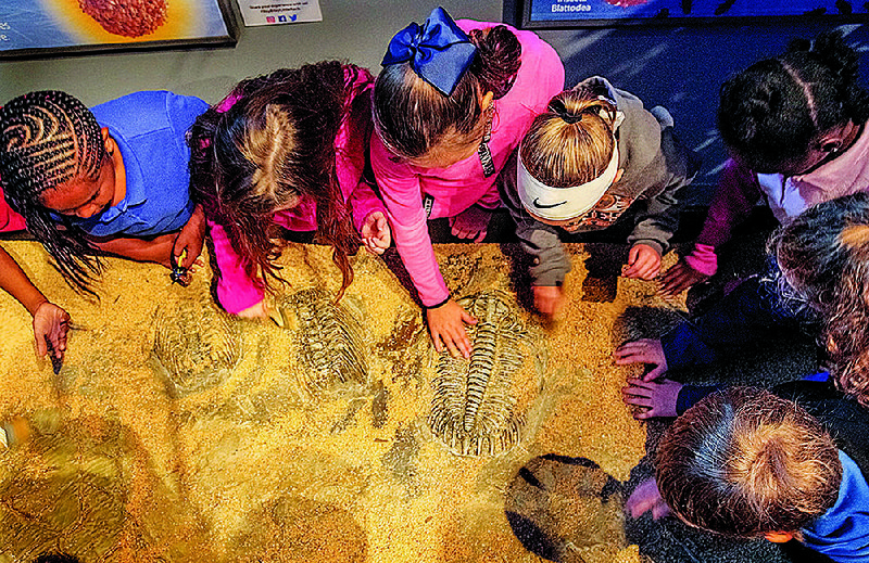 A group of students from North Little Rock’s Crestwood Elementary School search for fossilized bugs in one of the “Xtreme Bugs” interactive stations.