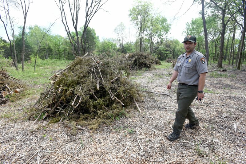 Nolan Moore, with Pea Ridge National Military Park, shows piles of cedar trees that were removed in March to restore a prairie at the park.