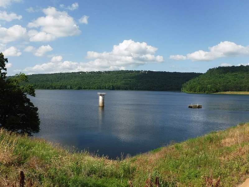 Pottsville City Reservoir looks beautiful from the parking area, but it looks even better from the water. 
