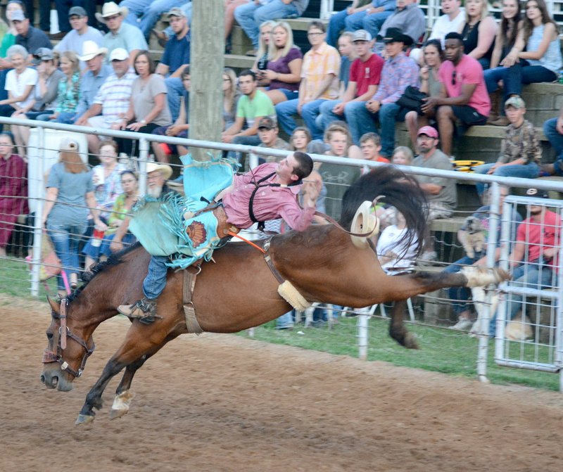 Graham Thomas/Siloam Sunday Cowboy Lane Lerche tries his hand at bareback riding Thursday at opening night of the Siloam Springs Rodeo.
