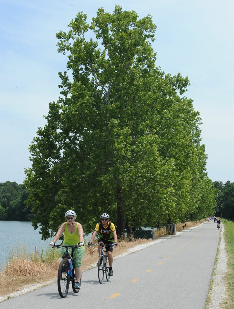 NWA Democrat-Gazette/ANDY SHUPE Residents cycle Thursday along the dam at Lake Fayetteville past a row of sycamore trees growing on the dam. The city of Fayetteville is planning to remove the trees out of concern for the integrity of the dam.