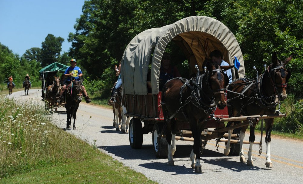 Harrison to Springdale