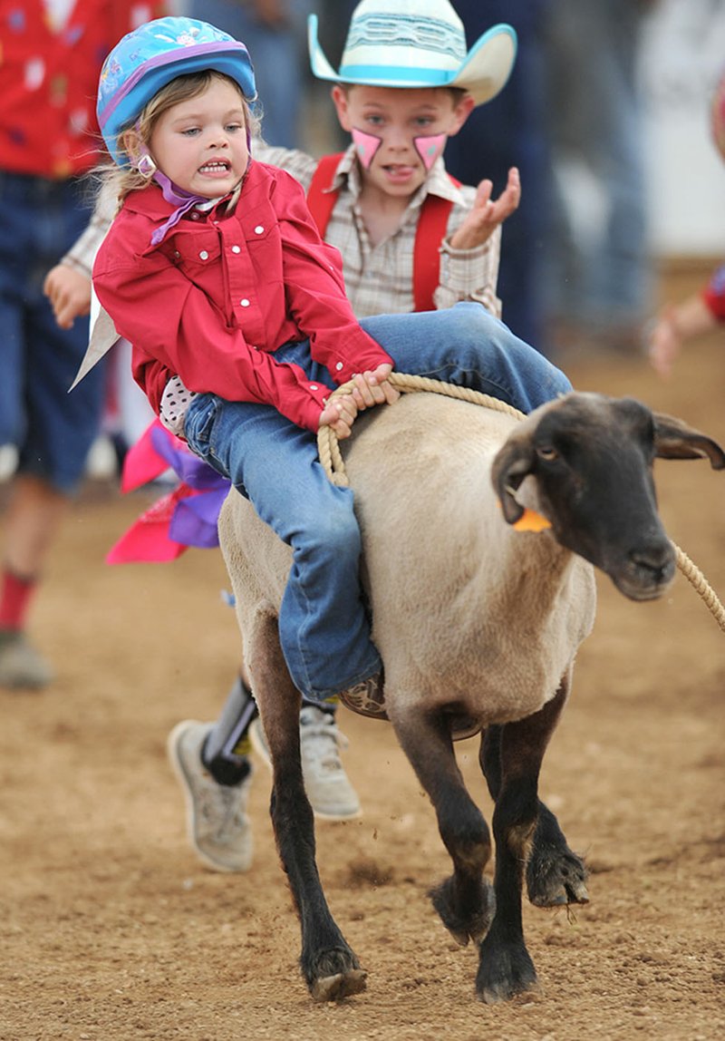 NWA Democrat-Gazette/ANDY SHUPE Nevaeh McKinney, 4, (front) of Springdale hangs on Wednesday as she participates in the mutton bustin' competition during the 73rd Rodeo of the Ozarks at Parsons Stadium in Springdale.