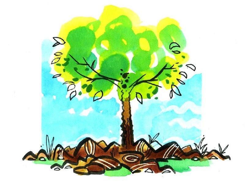 Arkansas Democrat-Gazette Tree Roots Illustration
