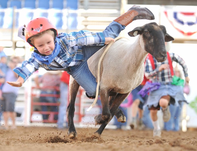 Dean Smallwood, 4, of Bentonville reaches for the ground Saturday while falling during the mutton bustin’ competition at the 73rd Rodeo of the Ozarks in Parsons Stadium in Springdale. Visit nwadg.com/photos for more photographs from the rodeo.
