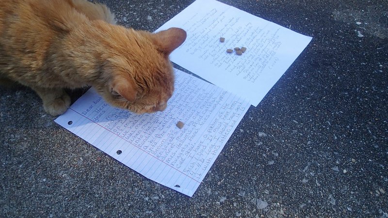 Boat Dock, chief judge of the fish story contest, goes to Joy Long’s story to get his cat treat. That makes Long the winner and 2017 fish-story champion. The story at right is by Edward Michan of Sulphur Springs, runner-up by a whisker.