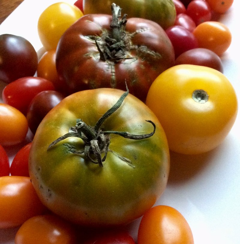 Fresh homegrown tomatoes are essential for Cracker Salad.