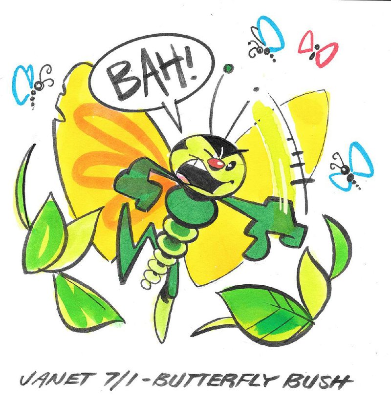 Arkansas Democrat-Gazette Butterfly bush Illustration 
