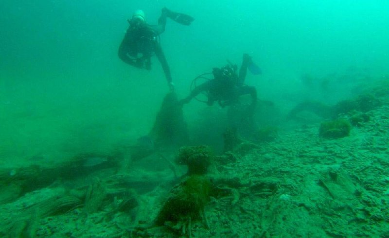 Divers swim through the remnants of an ancient cypress forest in what is now Mobile Bay but once was miles inland from an ancient shoreline.