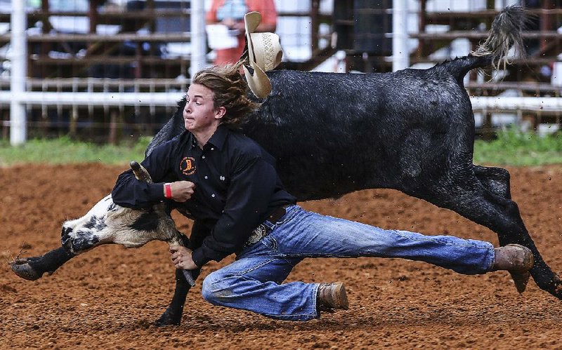 Jerry Easler of Jennings, Fla., competes in the boys ages 13-15 chute dogging event Saturday at the youth rodeo challenge in Conway. More photos are available at arkansasonline.com/galleries. 