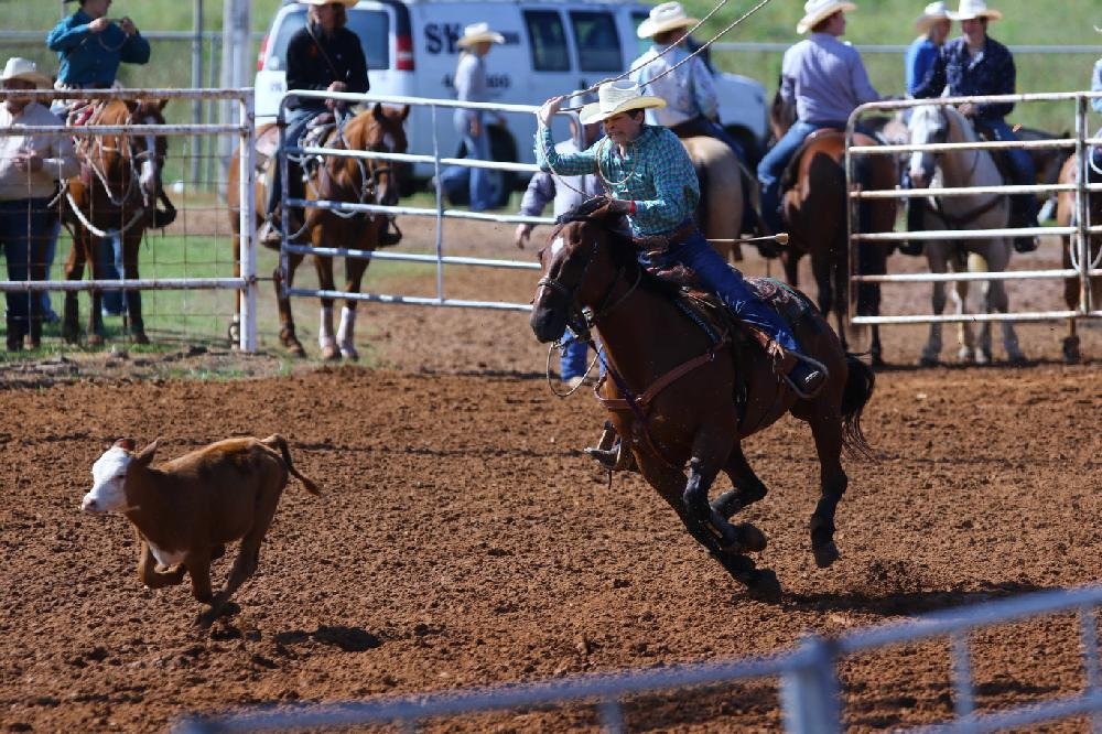 2017 Youth Rodeo The Arkansas DemocratGazette Arkansas' Best News