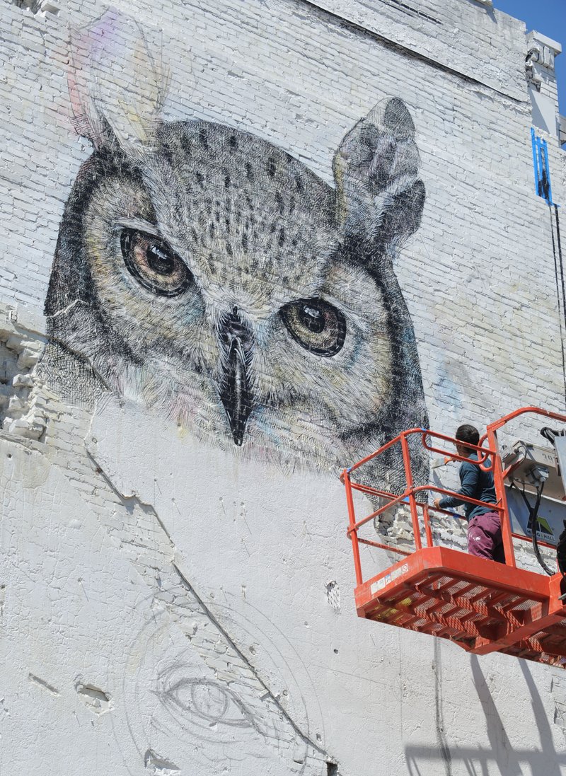 Murals, art installations set to hit Fayetteville | Northwest Arkansas ...