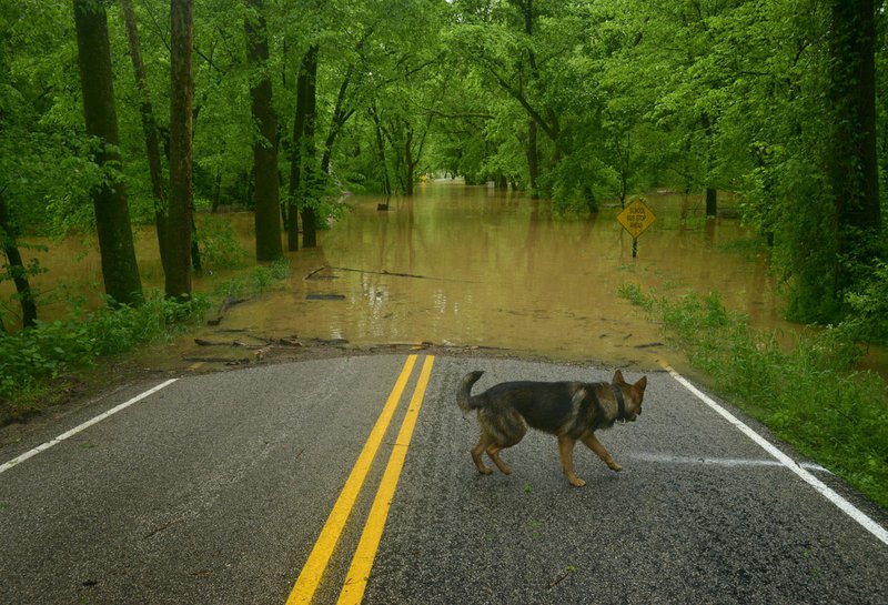 Water crests over War Eagle Road April 30 near War Eagle Mill in Benton County east of Rogers.