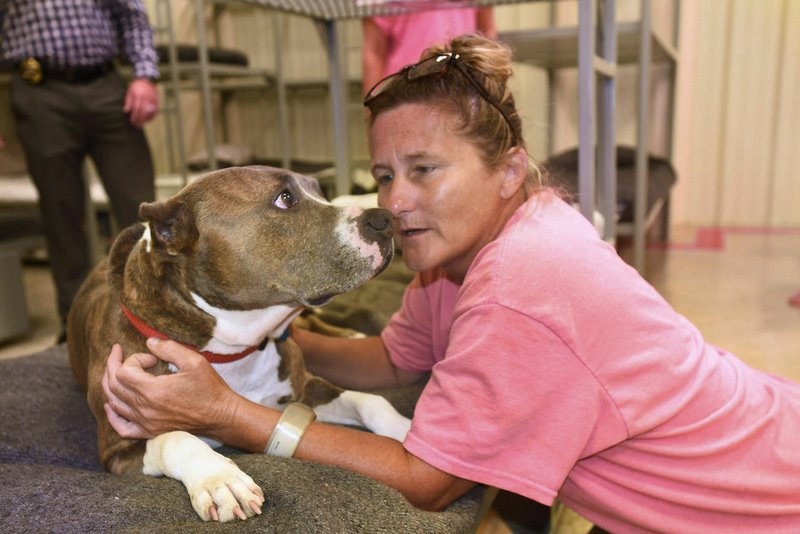 are service dogs allowed in jail