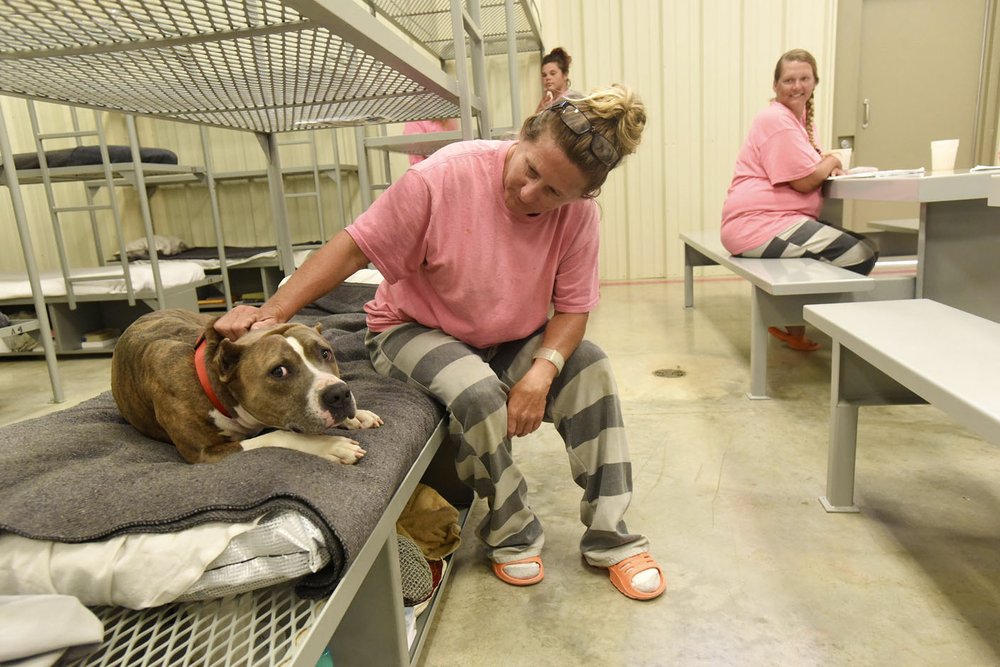 Inmates, Shelter Dogs Benefit From New Benton County Jail Program