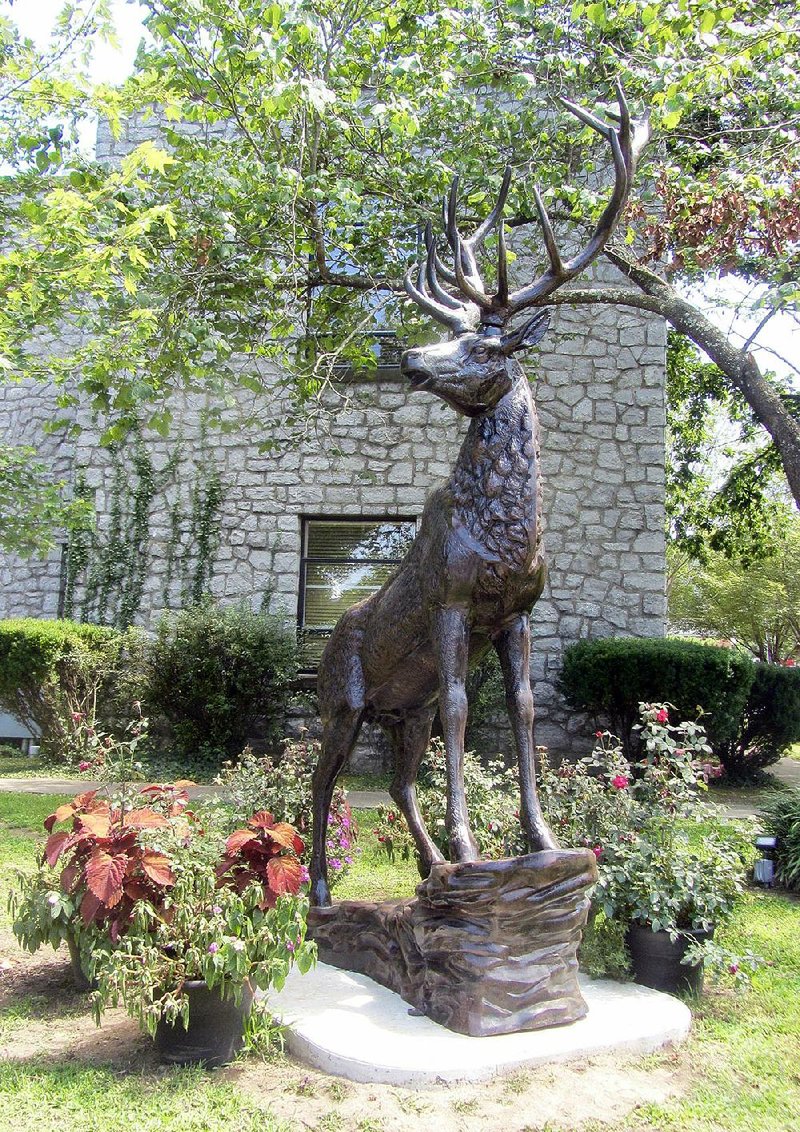 A statue of a male elk now graces the lawn of the Newton County Courthouse in Jasper. The county styles itself “Elk Capital of Arkansas.” 