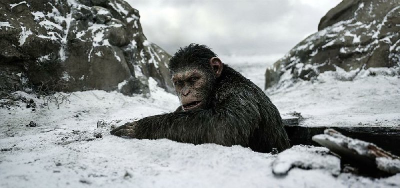 Caesar (a motion-capture performance by Andy Serkis) has grown from a baby raised with love by humans to the reluctant leader of an evolved ape army that might overpower the human race in War for the Planet of the Apes.