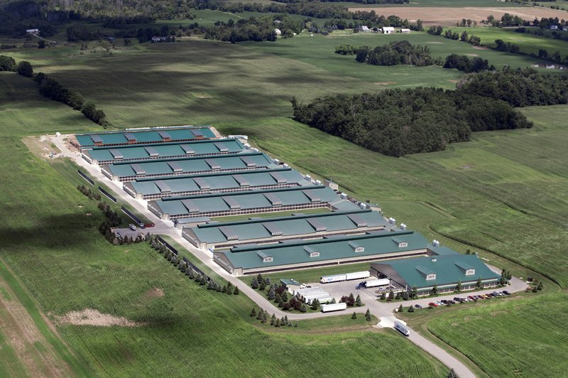 Two barns have been added at Herbruck's Poultry Ranch in Saranac, Michigan since this photo was taken by the Cornucopia Institute in 2014. 