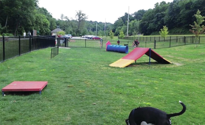 The Bentonville Bark Park has multiple obstacle structures throughout the park for dogs of all sizes to play