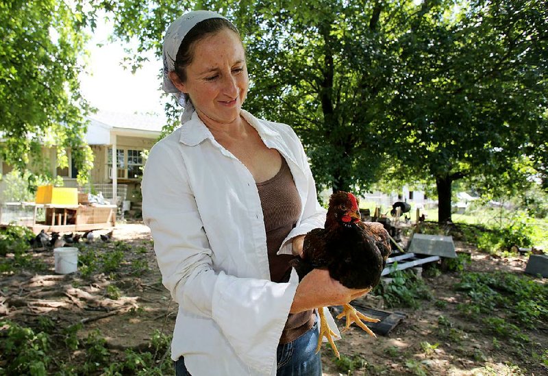 Kim Kapity holds a Barnevelder chicken at her Sycamore Valley Farm in Lincoln on Thursday. 