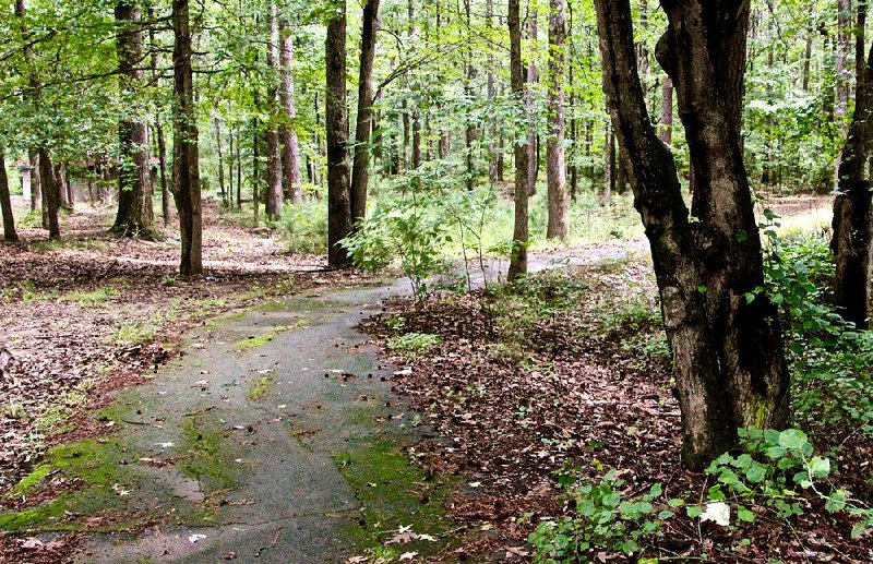 The asphalt trail in Morehart Park weaves through the woods and follows the disc golf course.