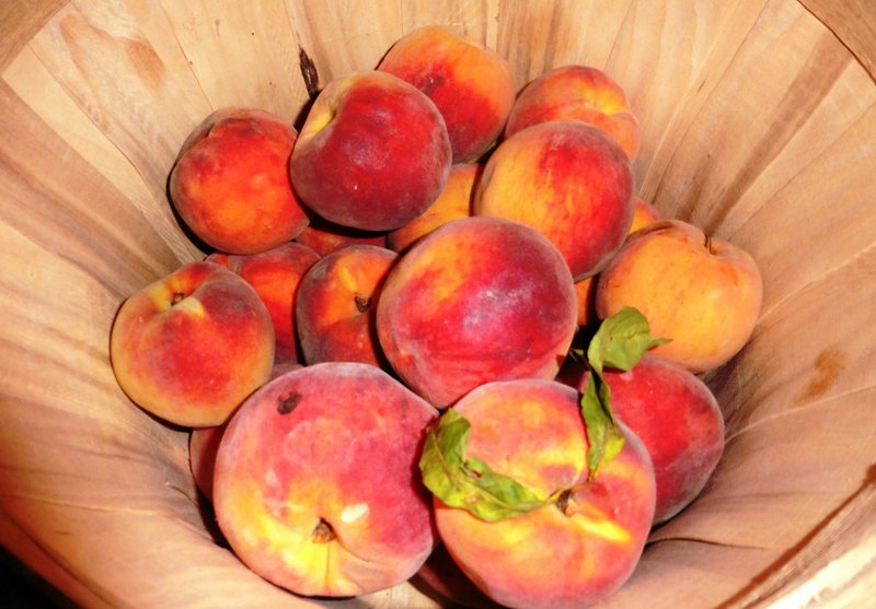 File Photo Peaches are still at the heart of the Johnson County Peach Festival, now in its 76th year.