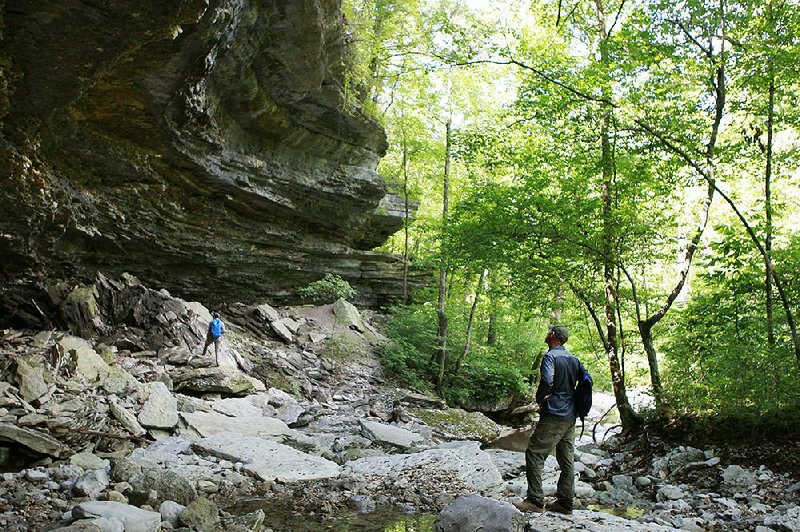 Isaac Ogle  (right) and his wife, Jennifer, explore a bluff shelter Sunday along a spring-fed creek in the Devil’s Eyebrow Natural Area in northeast Benton County.