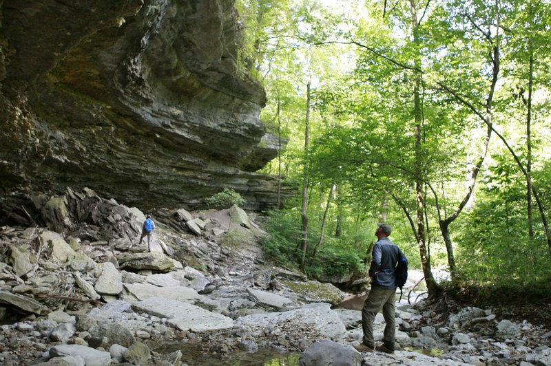 Isaac Ogle (right) and his wife, Jennifer, explore a bluff shelter along a spring-fed creek Sunday in the Devil’s Eyebrow Natural Area in northeast Benton County. Jennifer Ogle is a land management specialist with the Arkansas Natural Heritage Commission, one of several groups that manage the area and are expanding it under the regional Open Space Plan.