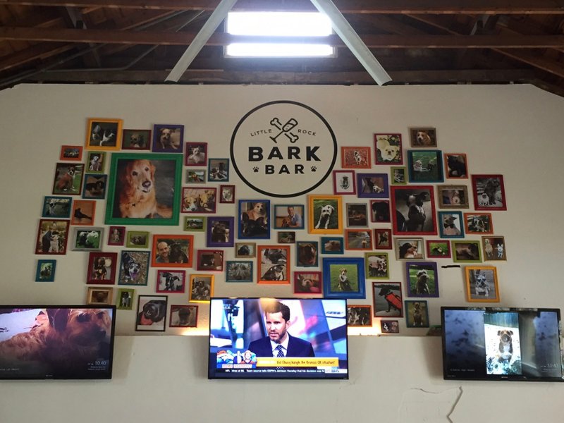 Bark Bar, an establishment aimed at wetting the appetites of humans and their dogs, is set to officially open Tuesday, Aug. 1, 2017 at 1201 S. Spring St. in Little Rock.