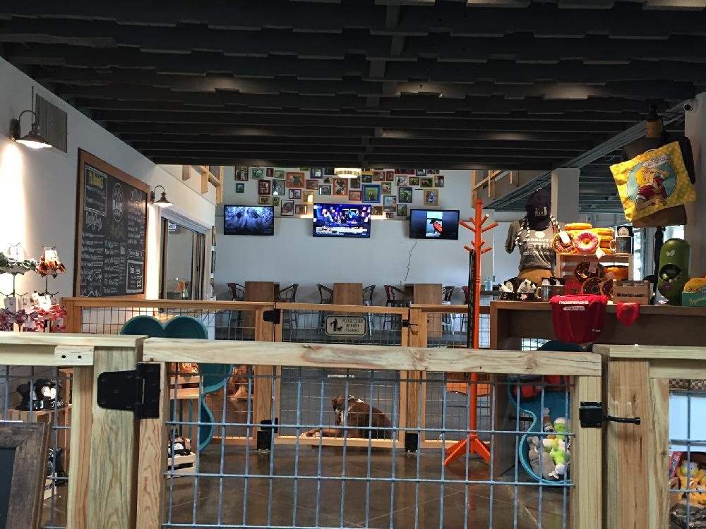 Little Rock's Bark Bar The Arkansas DemocratGazette Arkansas' Best
