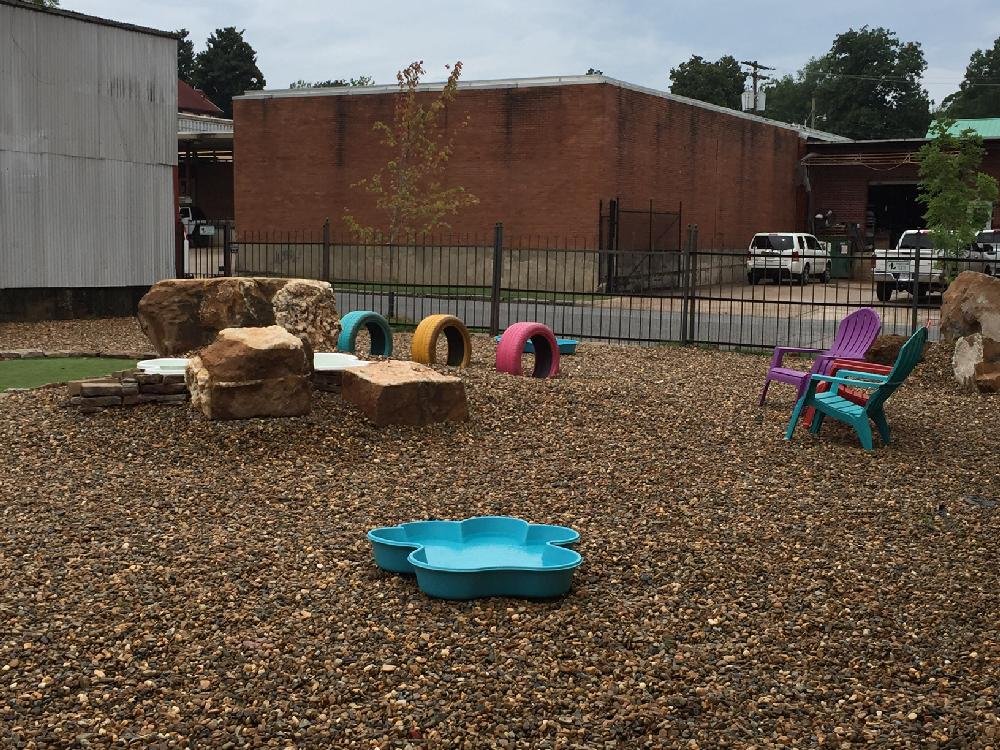 Little Rock's Bark Bar The Arkansas DemocratGazette Arkansas' Best