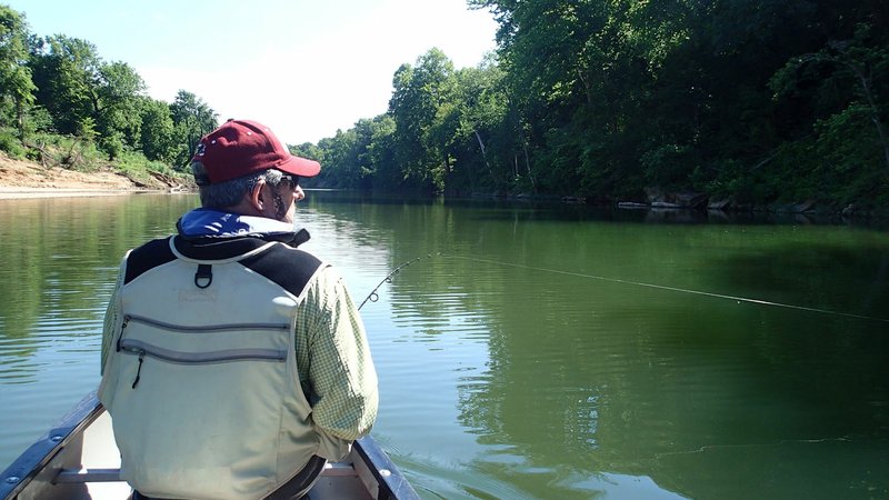 The stretch of Kings River from Grandview bridge to Stoney Point access features long pools and short shoals. Russ Tonkinson of Rogers fishes for smallmouth bass June 29 in a quiet pool of the river.