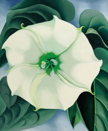 Georgia O’Keeffe. Jimson Weed/ White Flower No. 1, 1932. Oil on canvas. 48 x 40 in. Courtesy of Crystal Bridges Museum of American Art, Bentonville, Arkansas. Photography by Edward C. Robison III.