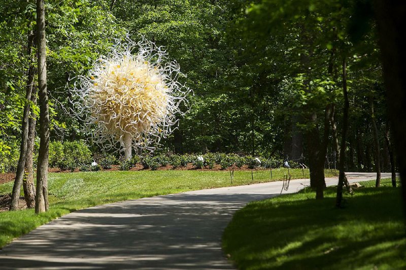 Dale Chihuly’s Sole d’Oro , on display at Crystal Bridges Museum of American Art, is one of the glass art pieces that is in the running to be added to the museum’s permanent collection. 
