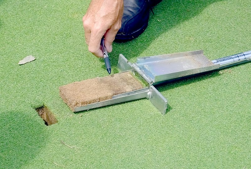 Lynn Atkins/The Weekly Vista When he pulls out a cross section of a green, agronomist Steve Krammerer gets a look at the grass roots and the soil under them which helps him to spot possible problems.