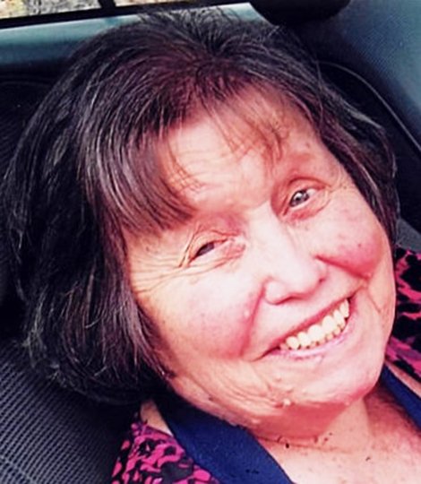 Rosa lee essay image