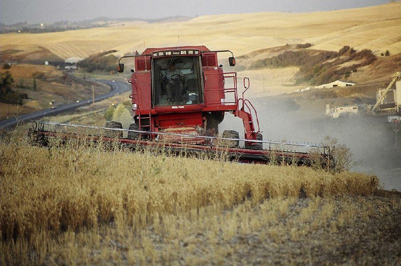 A farmer harvests chickpeas near Pullman, Wash., in this 2005 photo from the USA Dry Peas & Lentil Council.
