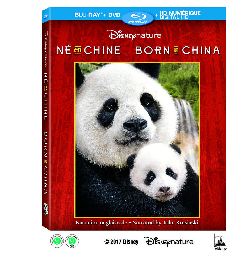 DVD cover for Born in China 