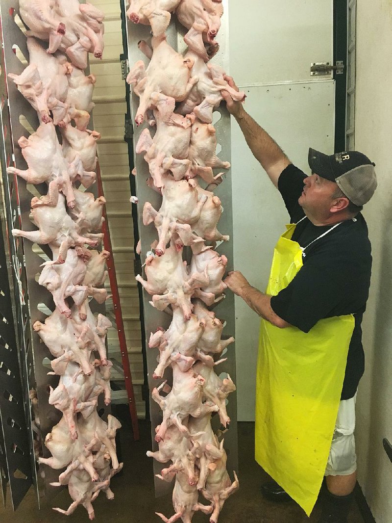 Scott Ridenoure, part owner B&R Processing and Taxidermy, inspects a rack of freshly processed pasture-raised chicken. The business’ new USDA-inspected poultry line in Winslow processes about 600 chickens every Monday.