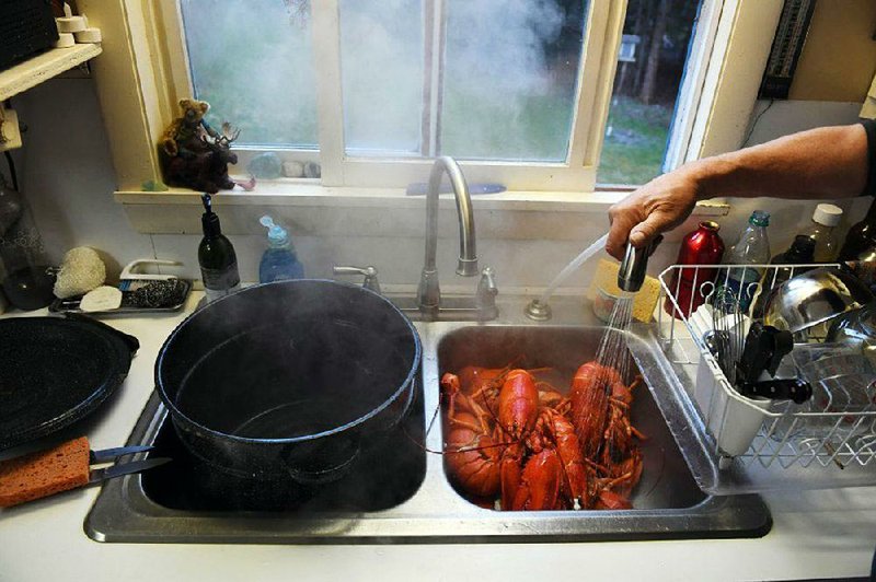 A lobsterman rinses off freshly cooked lobster at his home in Maine. As Episcopalians across the nation prepare for their respective annual lobster dinners, People for the Ethical Treatment of Animals is asking that they abandon the practice of consuming lobster in favor of a vegan spread with their fellow parishioners.